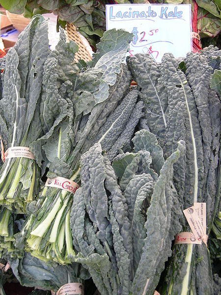 Brassica oleracea palmifolia Jersey Kale