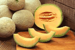 Cucumis melo cantalupensis Cantaloupe Melon