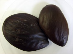 Pentaclethra macrophylla African Oil Bean. Oil Bean Tree, Owala Oil