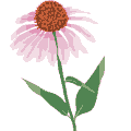 icon of flower