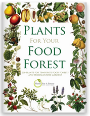 FOOD FOREST PLANTS
