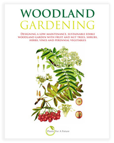 Woodland Gardening Forest Gardening Book