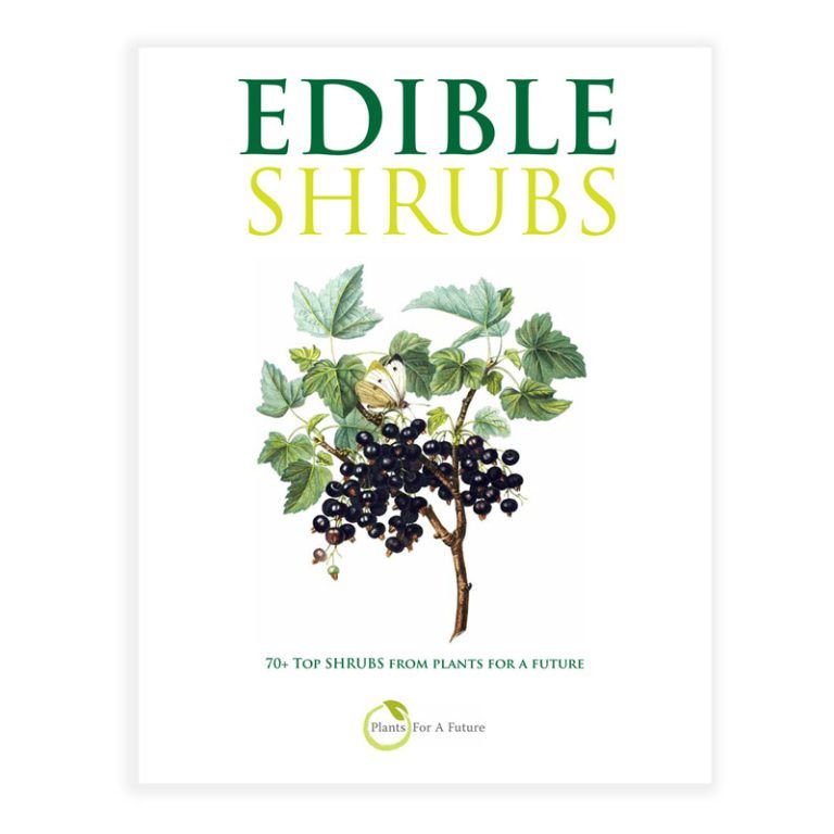 Edible Shrubs Book