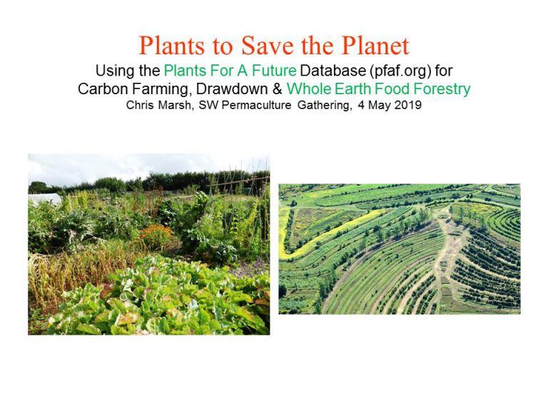 ‘Plants to Save the Plants For A Future’s 201920 Project
