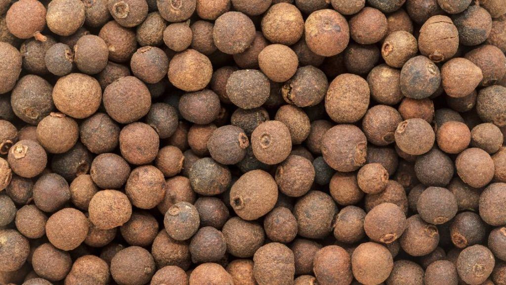 Embelia ribes dried fruit