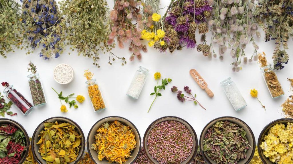 Medicinal Plant Families