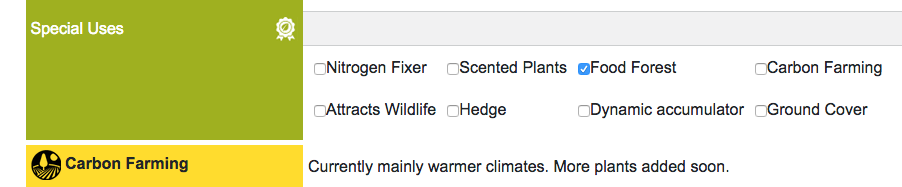 Food Forest Plant choice