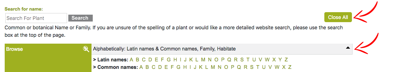 Food Forest Plant Selection